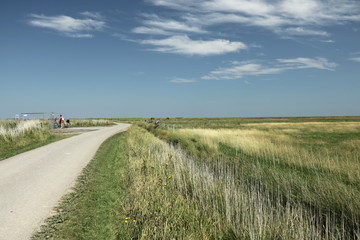 Landschaft an der Nordsee auf der Insel Hooge
