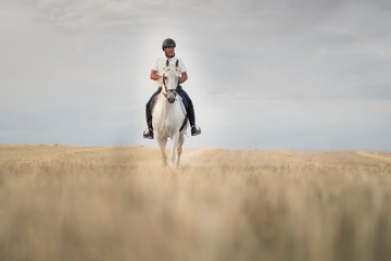 Obraz premium Rider on horseback walking through a mowed cereal field with his white horse. Horse riding in the open air.