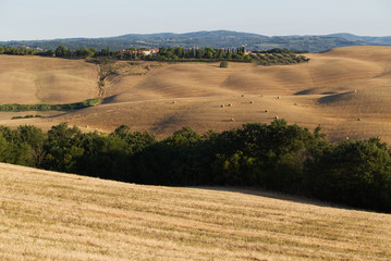 Tuscany landscape around Siena in the early morning