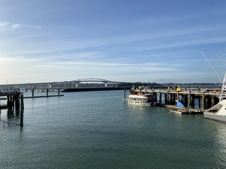 Fototapeta na wymiar Port de Auckland, Nouvelle Zélande