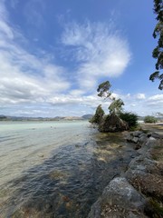 Fototapeta na wymiar Lac de Rotorua, Nouvelle Zélande