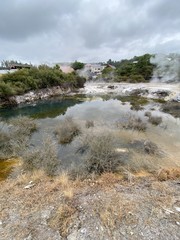 Géothermie à Whakarewarewa, Nouvelle Zélande