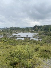 Lac d'eau chaude à Whakarewarewa, Nouvelle Zélande	