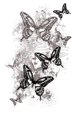 Plakat Black and grey flying butterflies illustration
