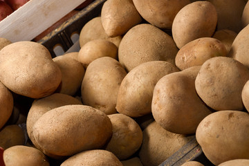 many fresh tuber potatoes at a farmers market in Italy