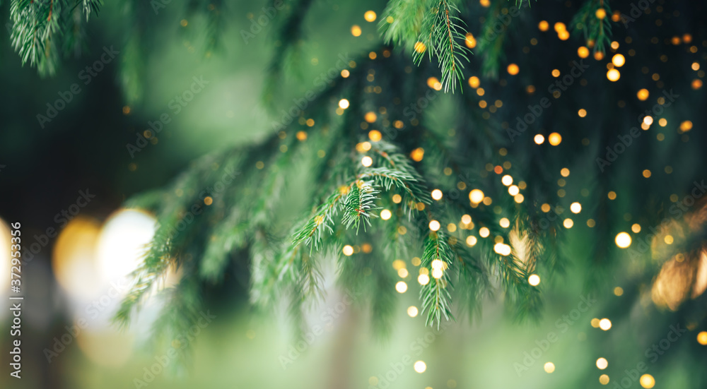Wall mural christmas tree background