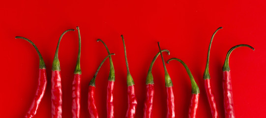 Eleven Red Chilies (viewed in half) in a row on red background.
