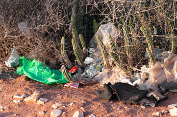 Rubbish,trashon plants in a poorly maintained park