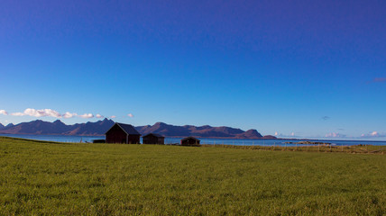 Fototapeta premium Fall in the north of Norway
