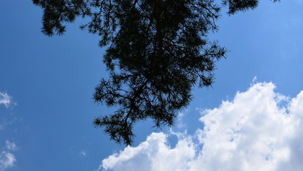 Obraz premium blue sky with clouds