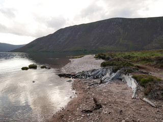 old roots of a cut tree by the side of a lake, hills at the distance