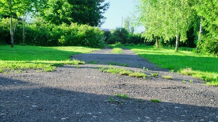 Road with green tree, blue sky summer and sun light. Front view.