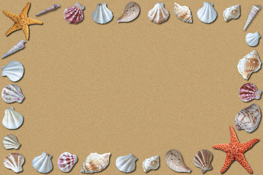 Sandy Beach Background Surrounded by Seashells and Copy Space