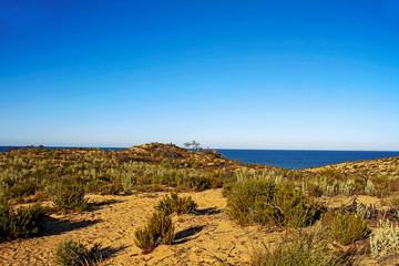 Landscape of the dunes and vegetation in Cuesta Maneli, with the sea in the background