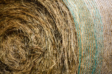 bale of hay