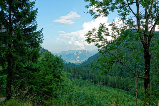 Fernsicht von einem Berg im Gerbirge ins Tal. Dichter grüner Wald. Mangfallgebirge bei Brannenburg in Oberbayern.