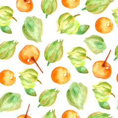 Seamless pattern with ashwagandha. Ayurvedic herbs. Ayurveda. Design of packaging paper and fabrics. Cute pattern with plants and berries. Ashwagandha for dress design, clothing, t-shirts. 