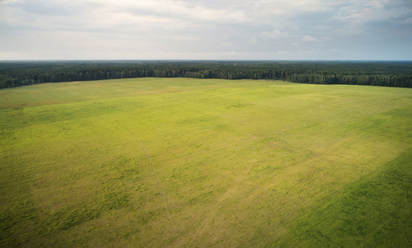Green grass pasture landscape