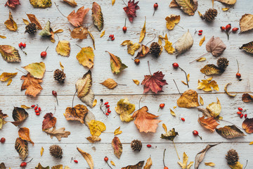 Autumn Leaves On White Wooden Planks - 372966731