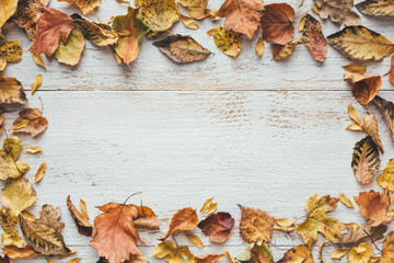 Naklejka na ściany i meble Autumn Leaves On White Wooden Planks