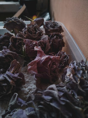 dried rose petals