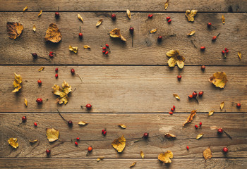 Autumn Leaves On White Wooden Planks - 372967182