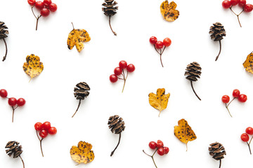 Autumn Pattern With Leaves, Cones And Red Berries - 372967347