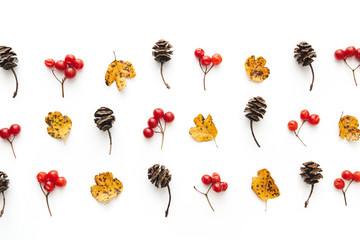 Autumn Pattern With Leaves, Cones And Red Berries - 372967383
