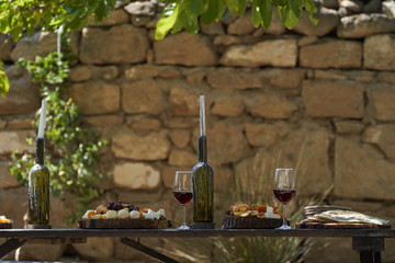Wine and snack set. Antipasto and catering table