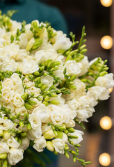 White freesia flower bouquet. Young man holding beautiful bouquet of fresh white freesia flowers.