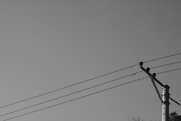 electric power lines