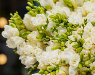 White freesia flower bouquet. Young man holding beautiful bouquet of fresh white freesia flowers.
