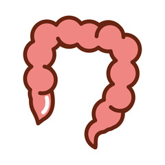 human body large intestine anatomy organ health line and fill icon