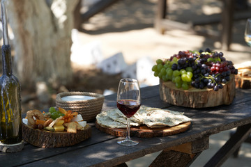 Wine and snack set. Antipasto and catering table
