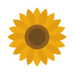 sunflower petals decoration nature flat icon style