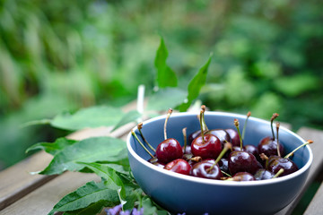 Cherry bowl. Fresh organic cherries decorated in bowl with green leaves, wooden table. garden background, copy space