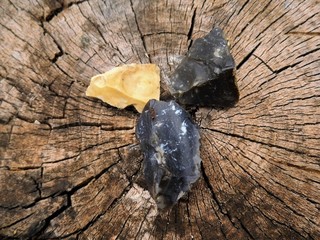 Minéral, végétal, animal.