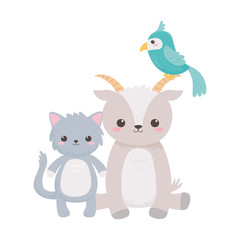 cute goat cat and parrot cartoon animals isolated white background design