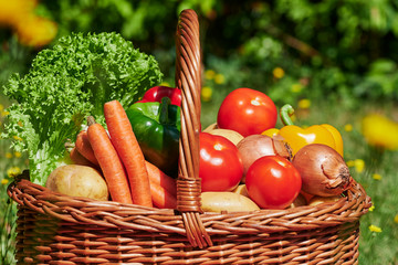 Basket of various vegetables in the sunlight on a meadow with yellow flowers.