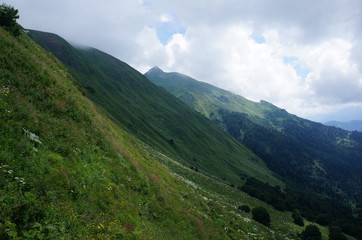 Fototapeta na wymiar Caucasus mountain biosphere reserve pass crossing with fog river sky in summer