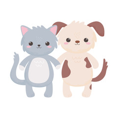 cute little gray cat and doggy cartoon isolated white background design