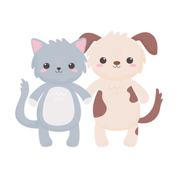 cute little gray cat and doggy cartoon isolated white background design