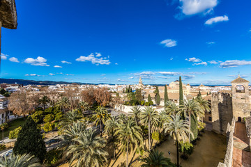 Palm trees, green vegetation and a part of the city of Cordoba seen from a tower of the Alcazar de los Reyes Cristianos, wonderful and sunny day with a blue sky in Spain