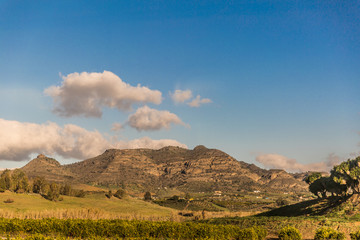 Fototapeta premium Valley with farmland and a mountain background, wonderful sunny day with a blue sky and white clouds in the province of Malaga Spain