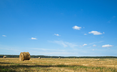 Fototapeta premium Field after harvesting wheat. A round stack of dry straw on a field in summer against a background of blue sky and trees.