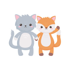 cute cat fox cartoon animals isolated design white background