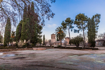 Obraz premium Courtyards or gardens of the Alhambra with its trees, palm tree bushes and plants with its stone esplanade, wonderful day in Granada Spain