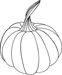 pumpkin vector illustration