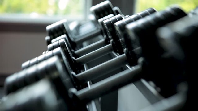 Dumbbells on a rack in a sports club