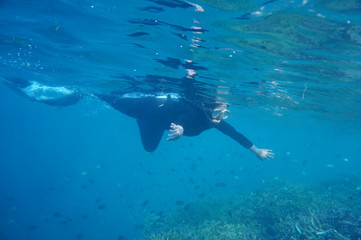 Fototapeta na wymiar a lady with hijab / veil snorkeling in the sea